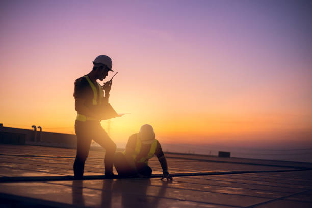 Best Roof Gutter Cleaning  in Louise, TX