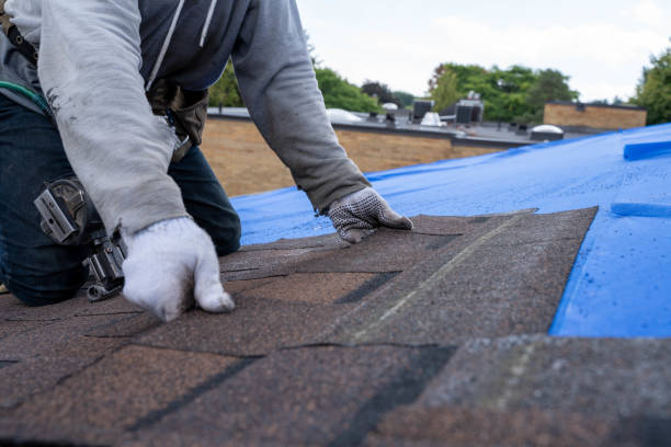 Roof Gutter Cleaning in Louise, TX